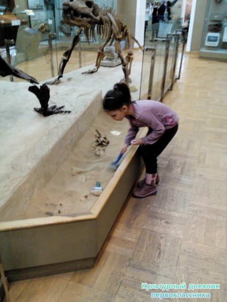 Музей естейственной истории Татарстана