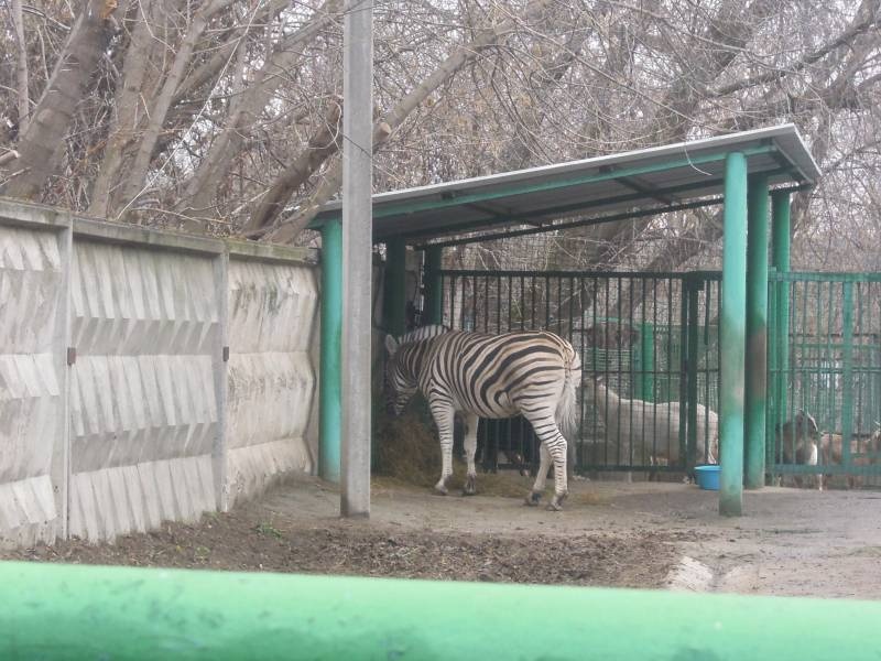 DSCN4968.JPG