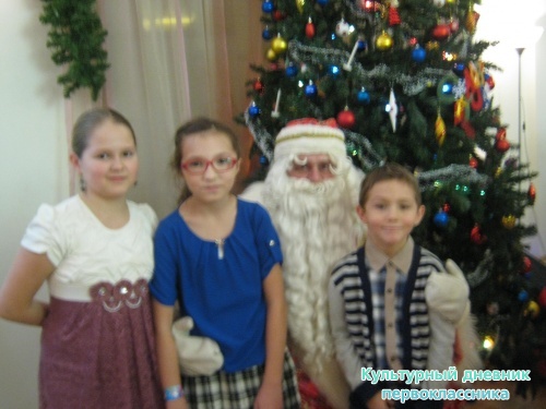 Ёлка в национальном музее