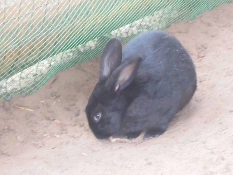 DSCN4893.JPG