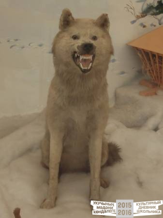DSCN6823.JPG