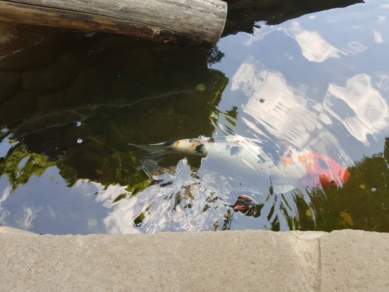 20180621_120152