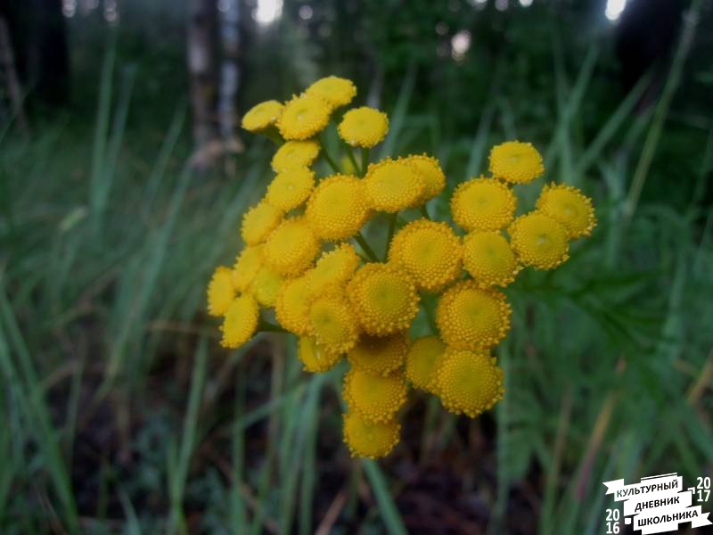DSCN0332.JPG