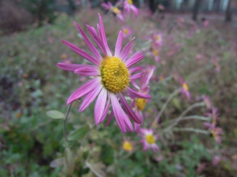 DSCN5034.JPG