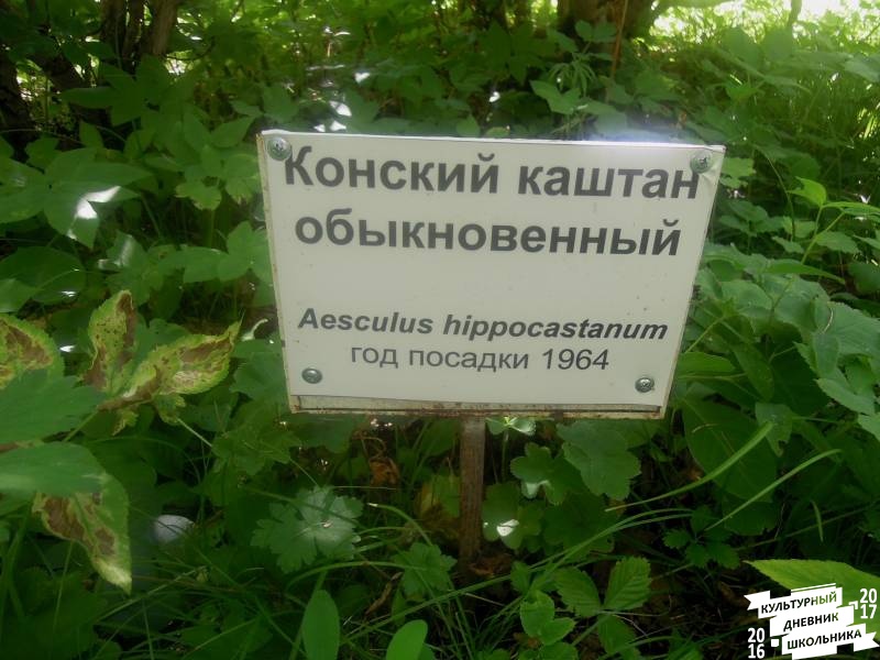 DSCN1622.JPG