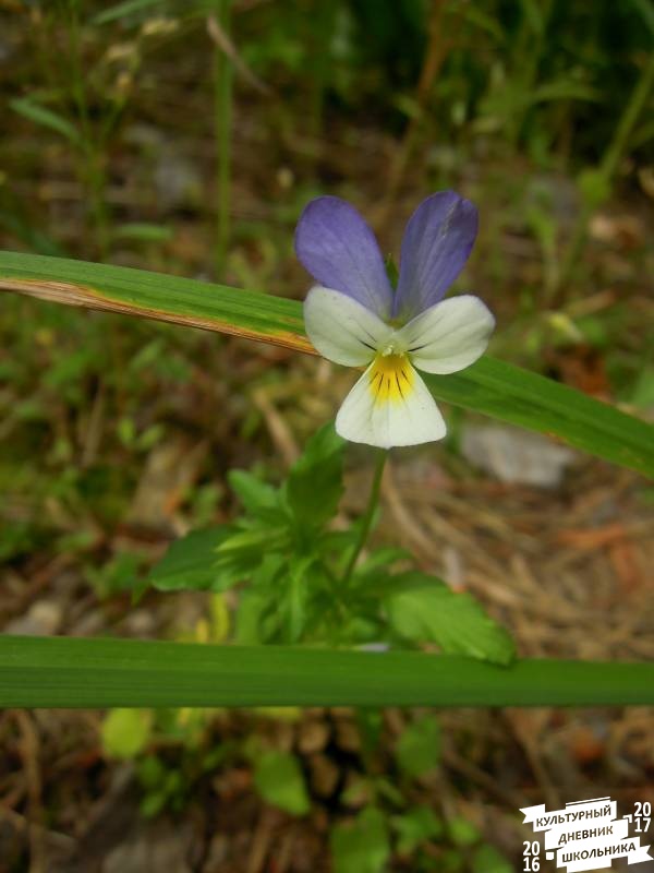 DSCN0632.JPG
