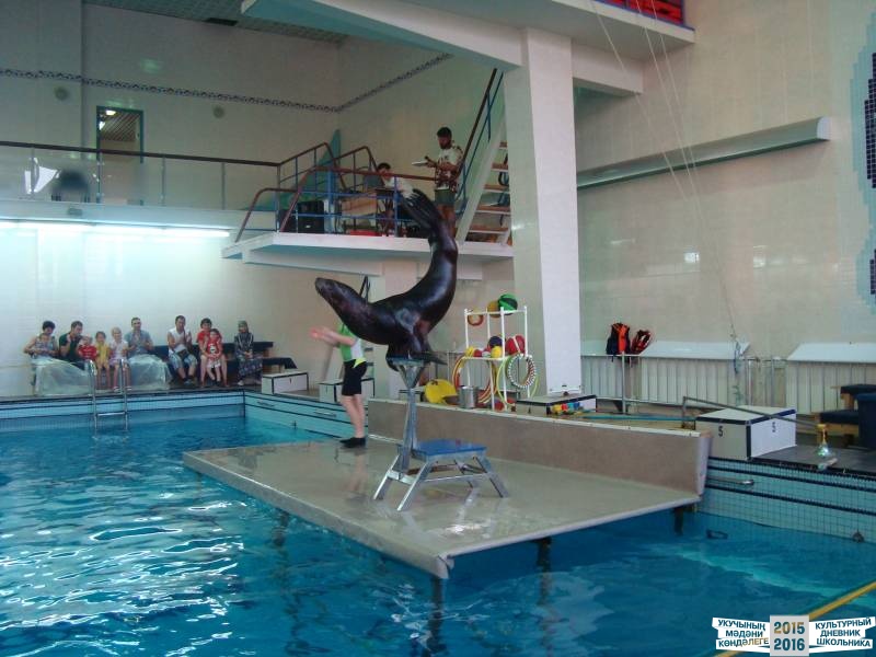 Мои летние путешествия!39625