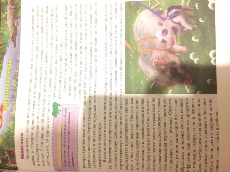 моя книжная полка104125