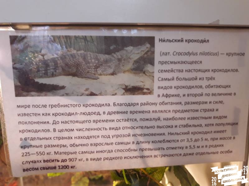 Выставка зоопарк "Живые тропики"60562