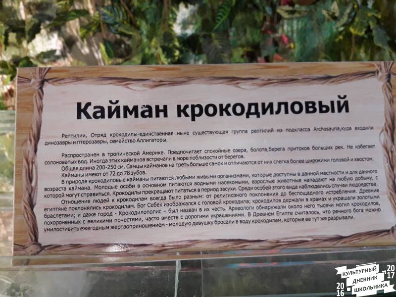 КК№46.Парк тропических бабочек.62340