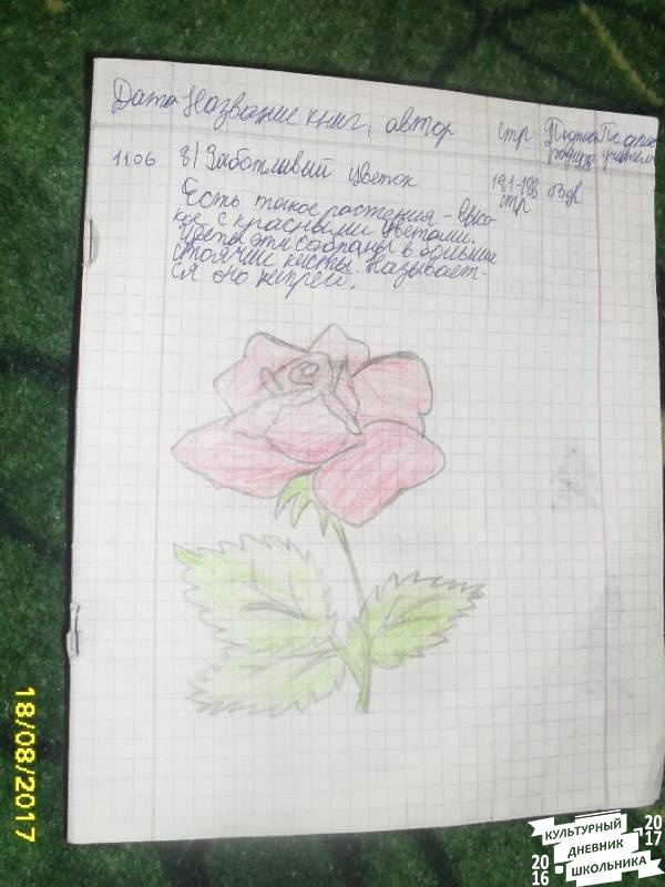 мой читательский дневник том174369
