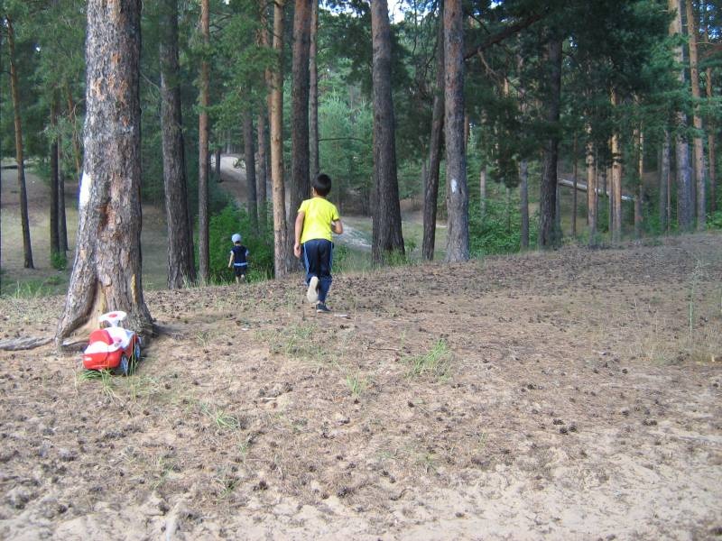 IMG_3701.JPG