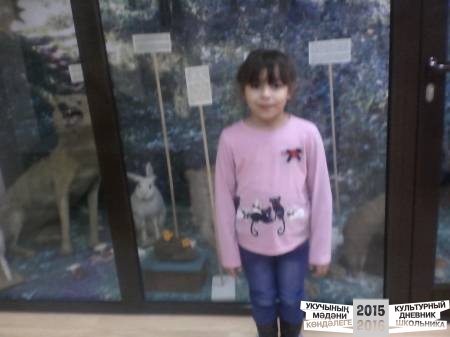 IMG_20160324_150018