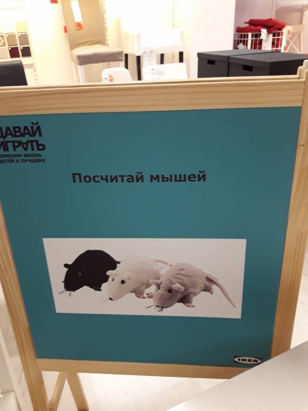 Детский квест. Икеа. Казань88843