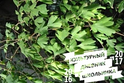 Оранжерейные растения. Зооботанический сад. Казань.78295