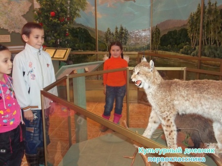 Мои мероприятия