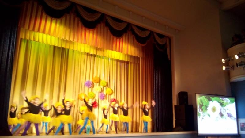 Концерт ко Дню Матери. МЦ. 24.11.17г.107180