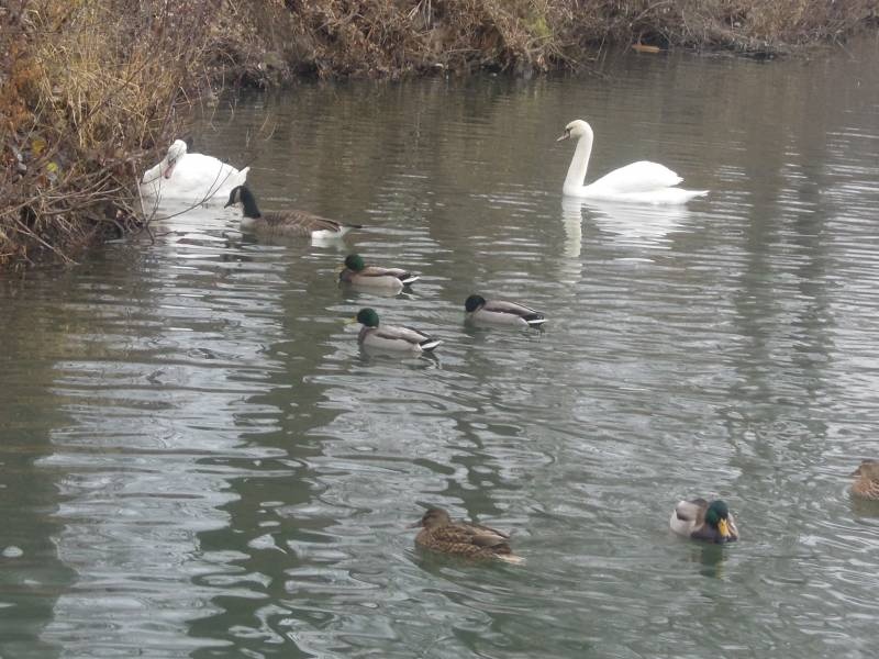 DSCN4923.JPG
