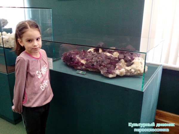 Музей естейственной истории Татарстана