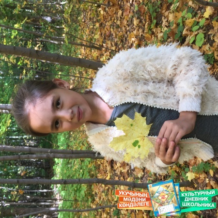Путешествие в Алексеевск30535