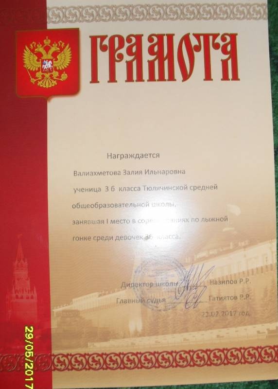 мои дипломы и грамоты118449