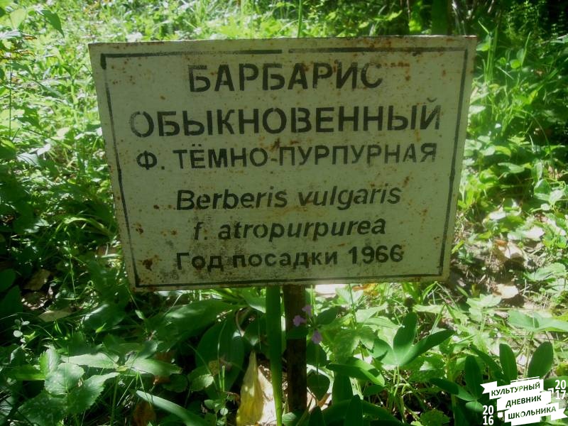 DSCN1614.JPG