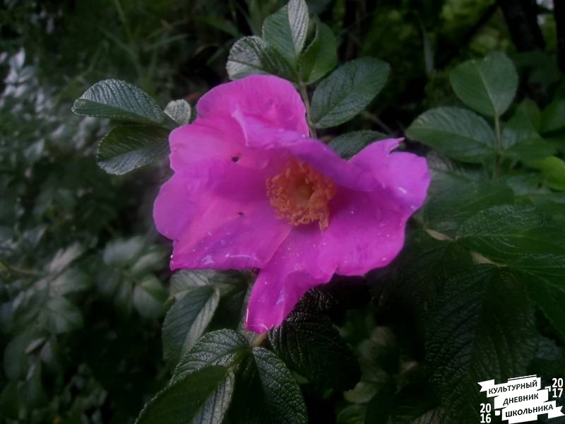 DSCN0357.JPG