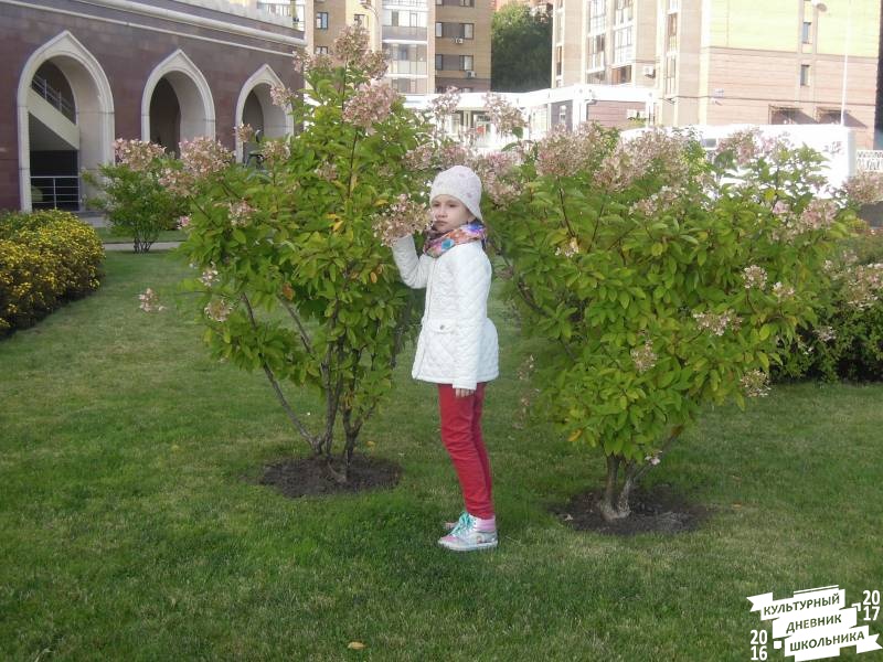 DSCN2444.JPG