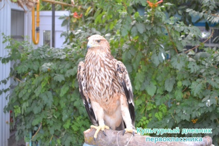 DSC_1043.JPG