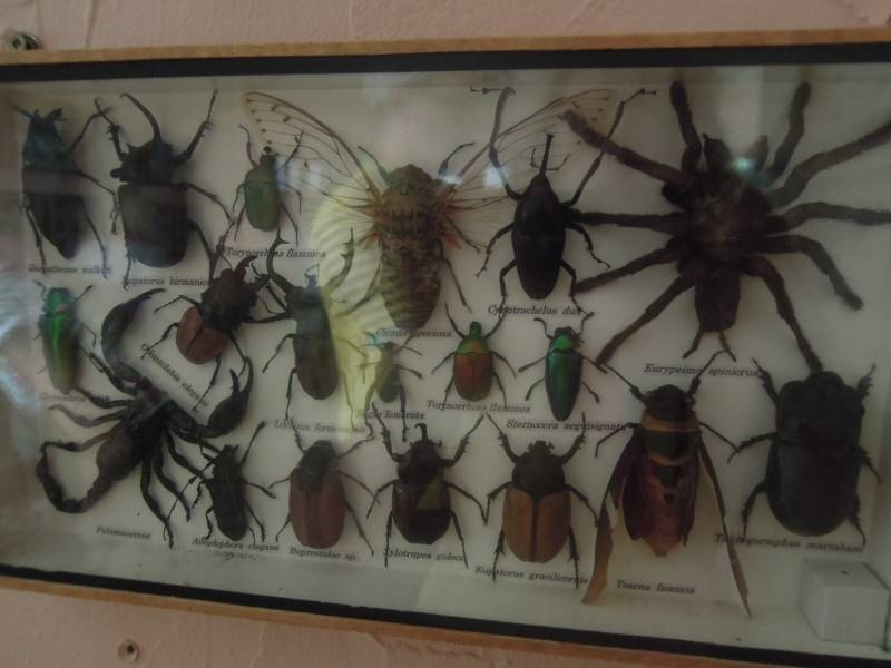 DSCN0439.JPG