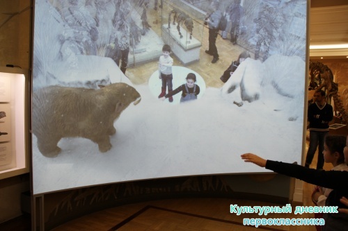 Новый экспонат «Ледниковый период»16494