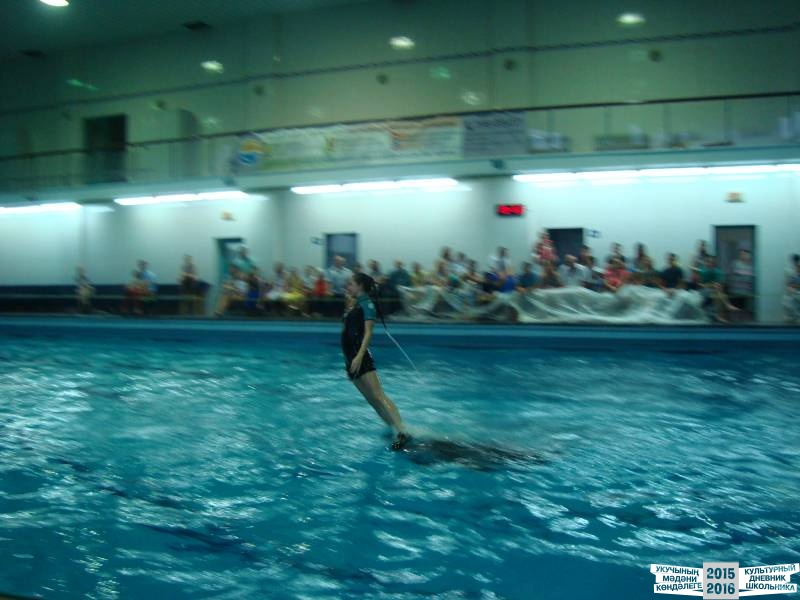 Мои летние путешествия!39642