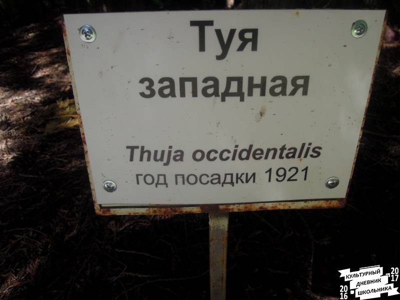 DSCN1603.JPG