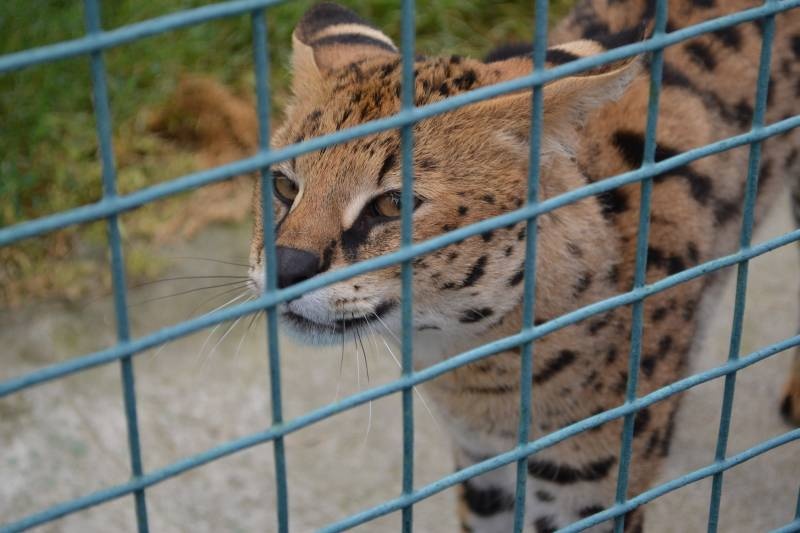 DSC_0761.JPG