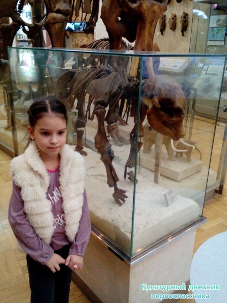 Музей естейственной истории Татарстана