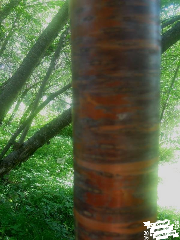 DSCN1629.JPG