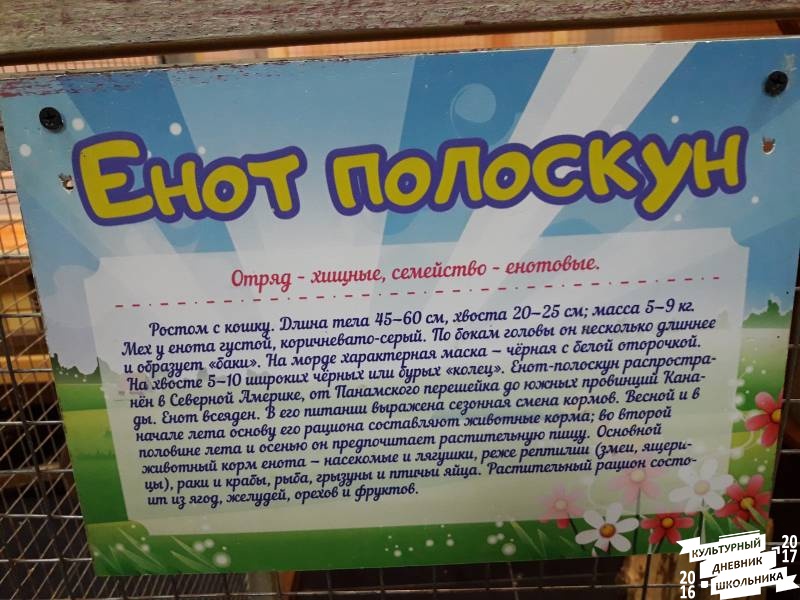 КК№46.Парк тропических бабочек.62381