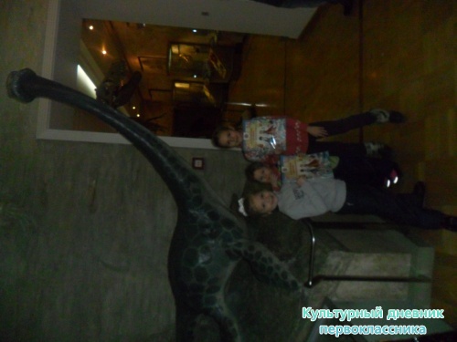 SAM_0332.JPG