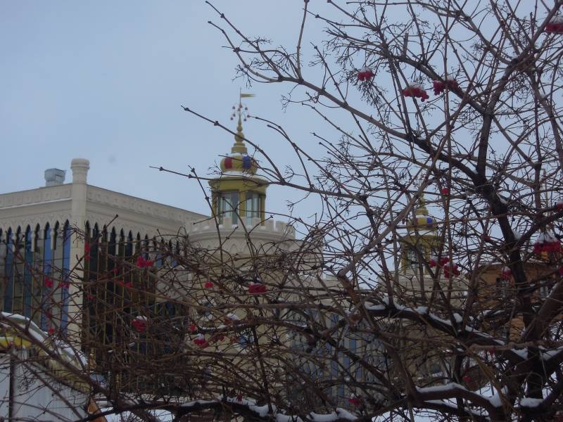 DSCN7098.JPG
