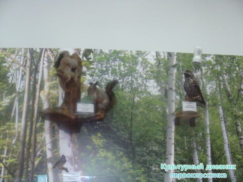 Историко-краеведческий музей7993