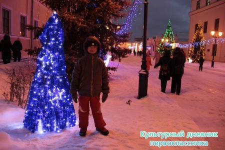 новогодний Кремль16398