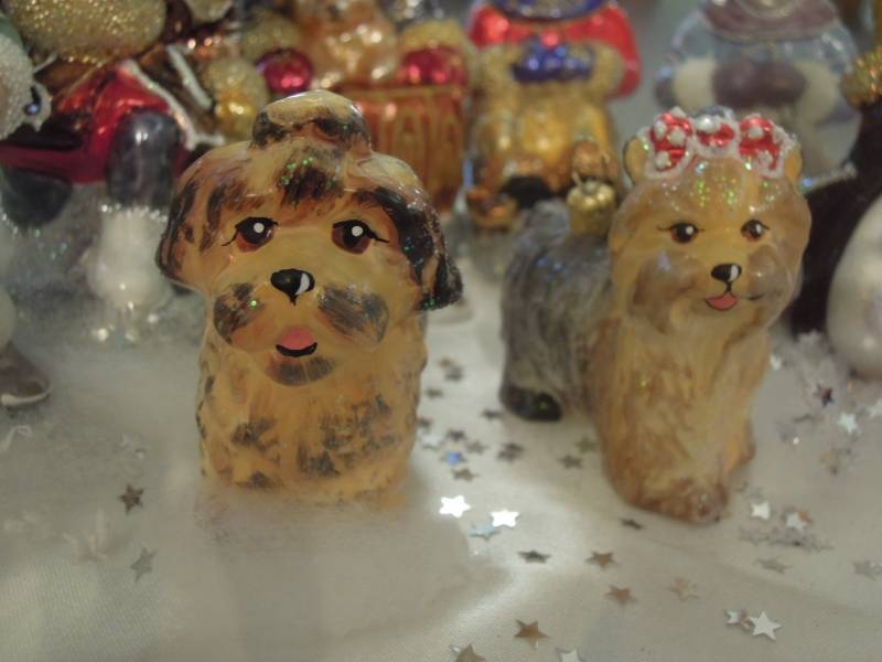 DSCN6920.JPG