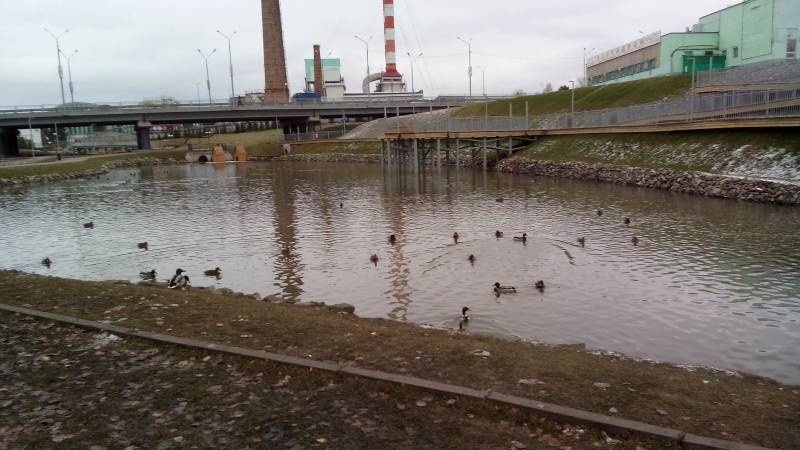 Арт-трубы. 18.11.17г.101549
