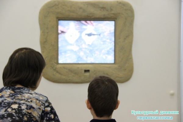 музей естественной истории Татарстана24743