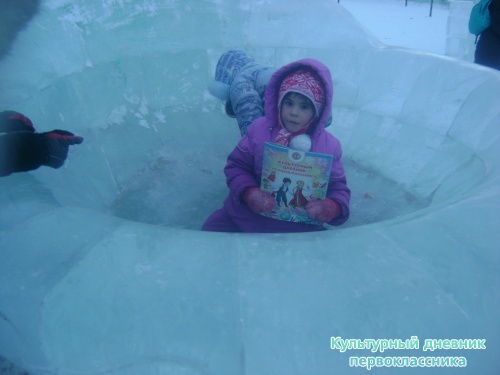 я и дневник17301