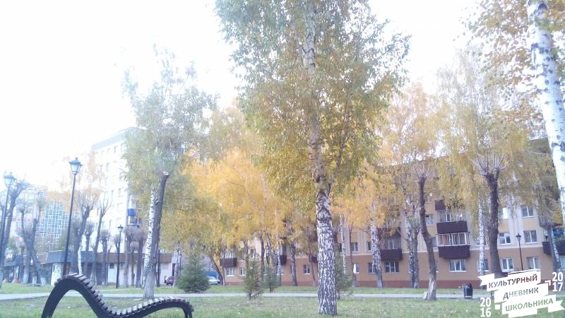 Уличные библиотеки Альметьевска. 31.10.17г.84632
