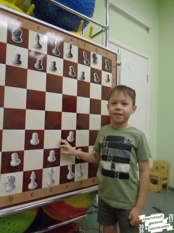 Занятие по шахматам в дошкольниками 21.JPG