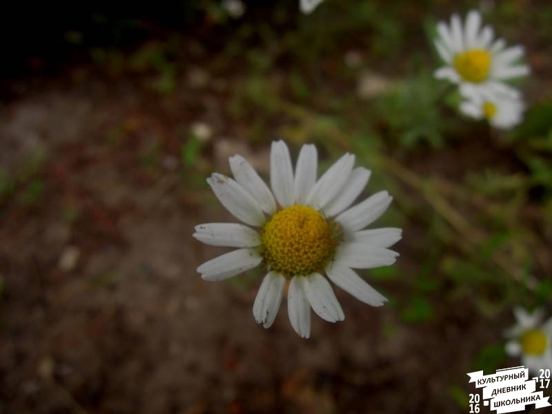DSCN0641.JPG