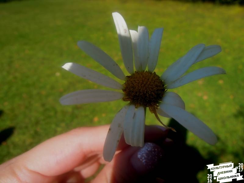 DSCN1670.JPG