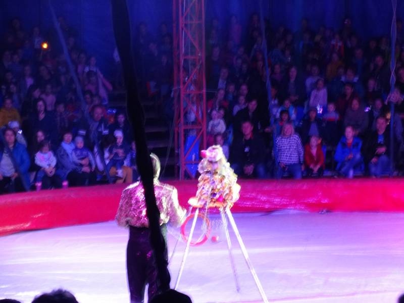 DSC07317.JPG